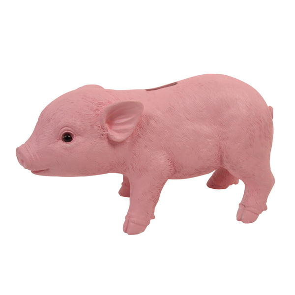 Pig Moneybank